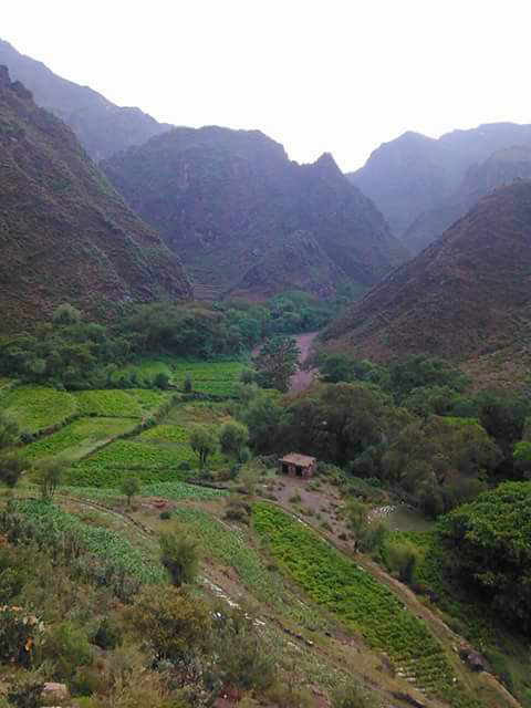 Shaia’an Community (PB)