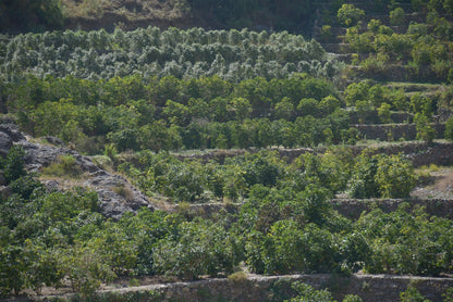 Masar Village