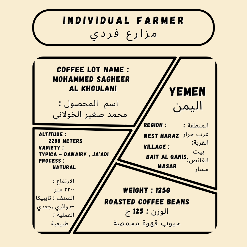 Muhammed Sagheer Al Khoulani