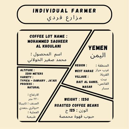 Muhammed Sagheer Al Khoulani
