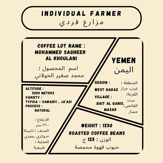Muhammed Sagheer Al Khoulani