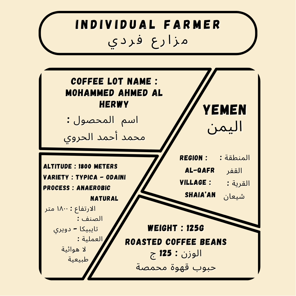 Mohammed Ahmed Al Herwy