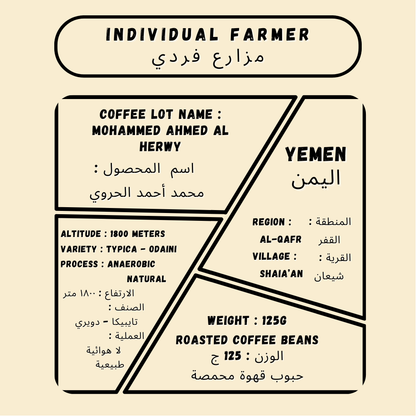 Mohammed Ahmed Al Herwy