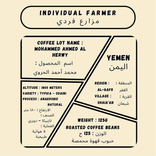 Mohammed Ahmed Al Herwy
